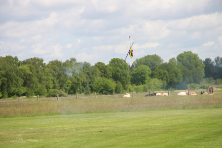 IMG 8761